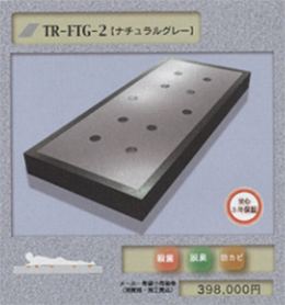 TR-FTR-2�@�i�`�������O���[